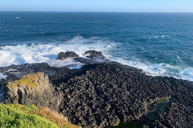 Premium Small Group Philip Island eco Tour - Who Should Consider This Tour?