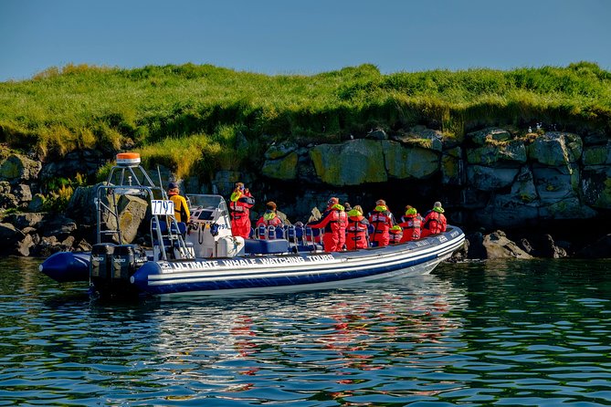 Premium Small-Group Puffin & Bird Watching Tour From Reykjavík - Tour Experience