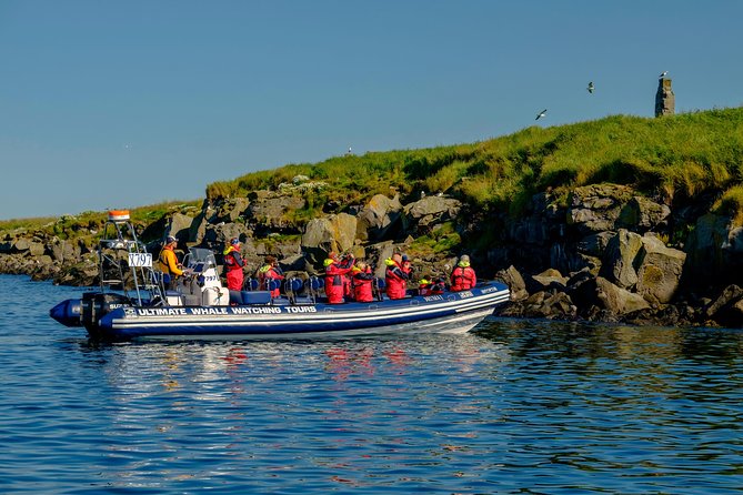 Premium Small-Group Puffin & Bird Watching Tour From Reykjavík - Customer Service