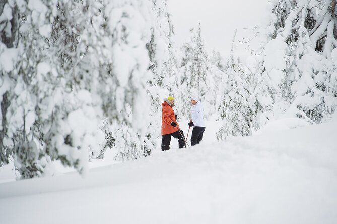 Premium Snowshoeing in Pyhä-Luosto National Park - Equipment and Gear Needed