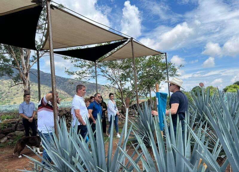 Premium Tequila Route with professional tasting - What Sets This Tour Apart?