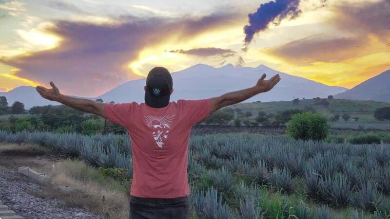 Premium Tequila Route with professional tasting - Practical Aspects and Value for Money