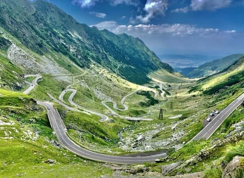 PREMIUM TOUR: Bears Safari on Transfagarasan Road - Good To Know