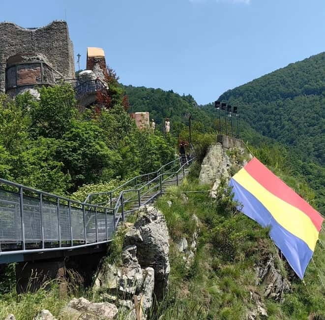 PREMIUM TOUR: Bears Safari on Transfagarasan Road - Who Will Love This Tour?