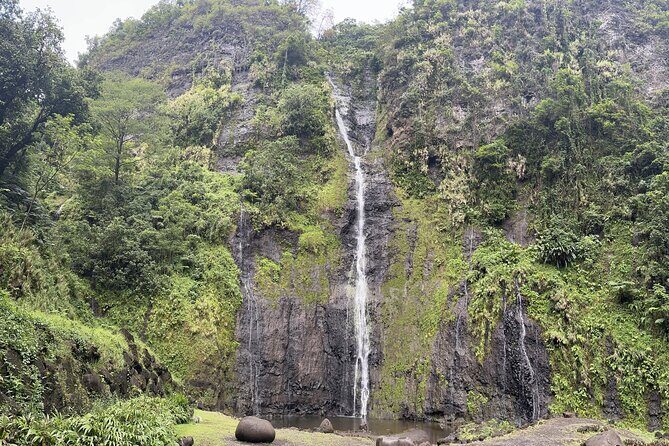 Premium Tour DE Tahiti, EN Half Day Privatised - Why Choose the Premium Half-Day Tour in Tahiti?