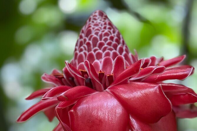 Premium Tour DE Tahiti, EN Half Day Privatised - Final Thoughts