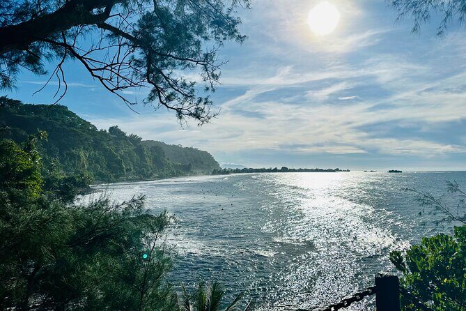 Premium Tour DE Tahiti, EN Half Day Privatised - FAQ