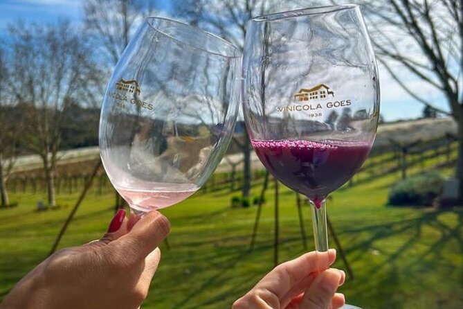 PREMIUM TOUR in SÃO ROQUE - Wine Tour - End Point Information