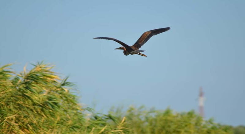 PREMIUM TOUR SMALL GROUP Bucharest-The Heart of Danube Delta - Good To Know