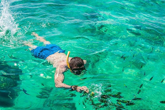 Premium Tour to Phi Phi & Bamboo Island Tours by Speed Boat - Common Questions