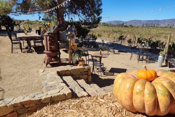 Premium Valle De Guadalupe Wine and Food Tour - Traveler Photos and Reviews