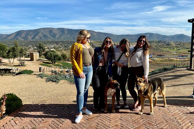 Premium Valle De Guadalupe Wine and Food Tour - Pricing and Terms
