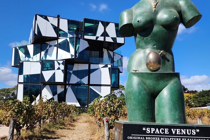 Premium Victor Harbor, Port Elliot and d'Arenberg Minibus Tour - An Authentic South Coast Adventure