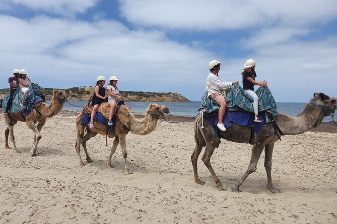 Premium Victor Harbor, Port Elliot and d'Arenberg Minibus Tour - Victor Harbor: Coastal Charm and Island Adventures