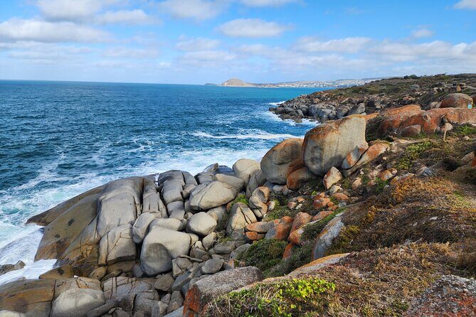 Premium Victor Harbor, Port Elliot and d'Arenberg Minibus Tour - The Scenic Return and Optional Drop-off at Glenelg