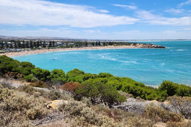 Premium Victor Harbor, Port Elliot and d'Arenberg Minibus Tour - The Sum Up: Who Should Consider This Tour?