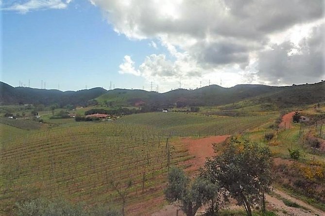 Premium Wine and Gastronomic Mountain Tour in The Algarve - The Sum Up