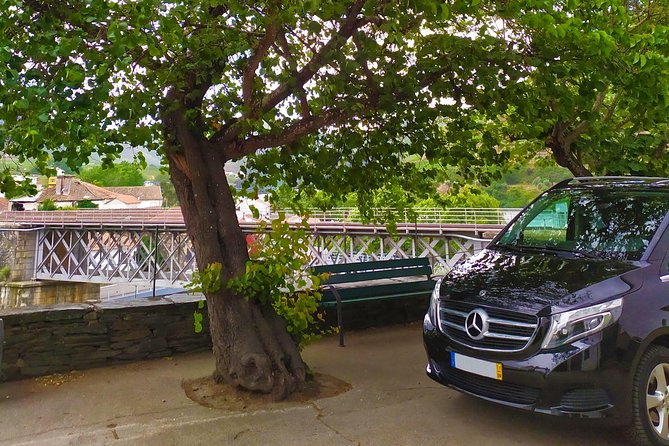 Premium Wine Experience Through Douro Valley - Tasting the Finest Douro Valley Wines