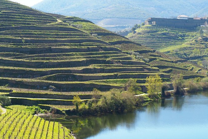 Premium Wine Experience Through Douro Valley - Taking in the Cultural Heritage of Douro Valley