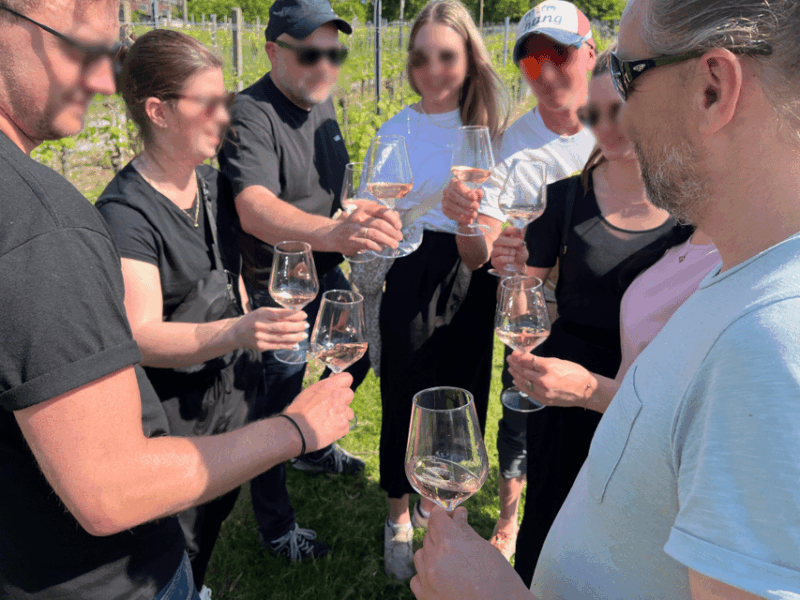 Premium wine hike Stuttgart with games and winemaker's snack - Good To Know