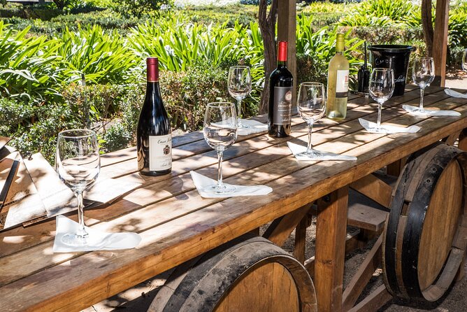 Premium Wine Tasting and Tour at Santa Rita With Transport - Inclusions and Amenities