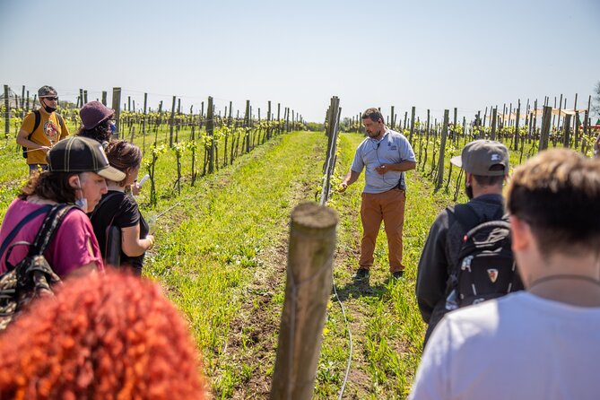 Premium Wine Tasting in Bodega Gamboa With Lunch - Tour Highlights