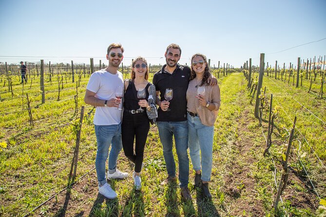 Premium Wine Tasting in Bodega Gamboa With Lunch - Wine Tasting Experience
