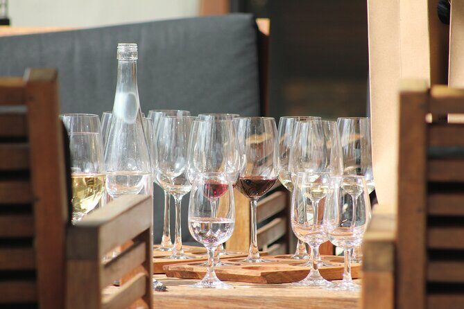 Premium Wine Tasting Tour. - Who Should Consider This Tour?
