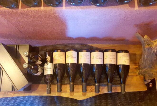 Premium Wine Tasting With Caldera and Sea Views - Important Information