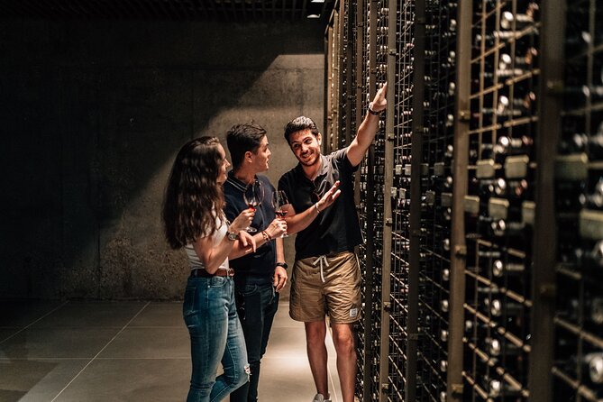 Premium Winery Day Tour: Two of the Best Ribera Del Dueros Wineries - Tour Details
