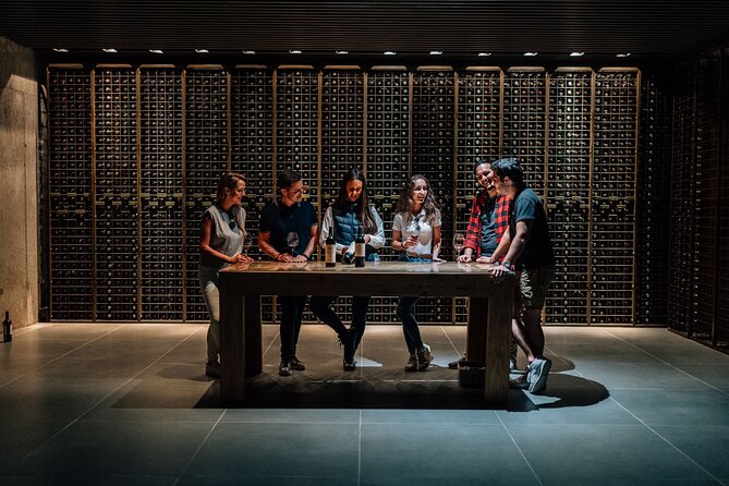 Premium Winery Day Tour: Two of the Best Ribera Del Dueros Wineries - Inclusions and Exclusions