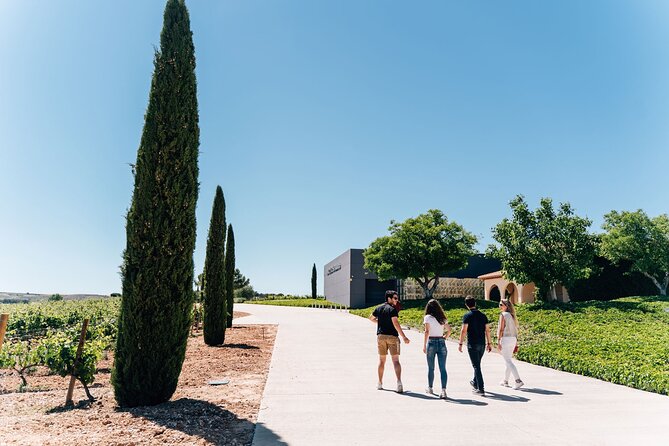 Premium Winery Day Tour: Two of the Best Ribera Del Dueros Wineries - Cancellation Policy