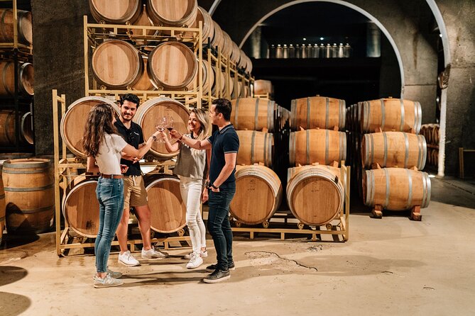 Premium Winery Day Tour: Two of the Best Ribera Del Dueros Wineries - Reviews
