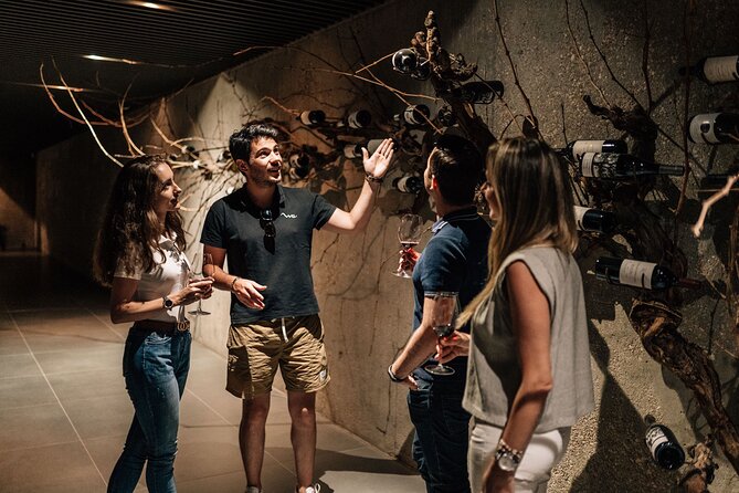 Premium Winery Day Tour: Two of the Best Ribera Del Dueros Wineries - Common Questions