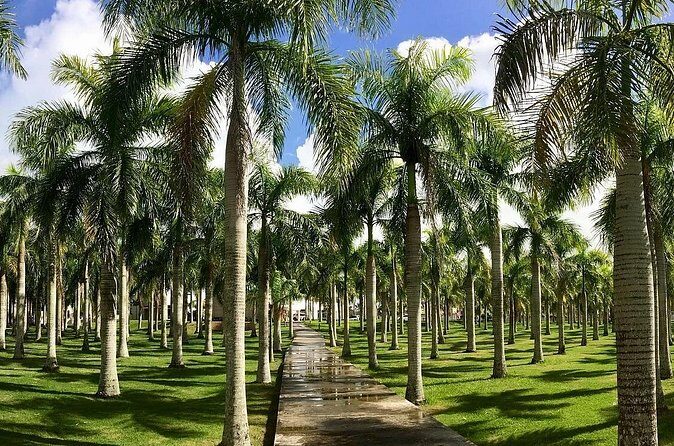 Presidential Suites By Lifestyle- Puerto Plata Airport - Authentic Experiences from Reviews