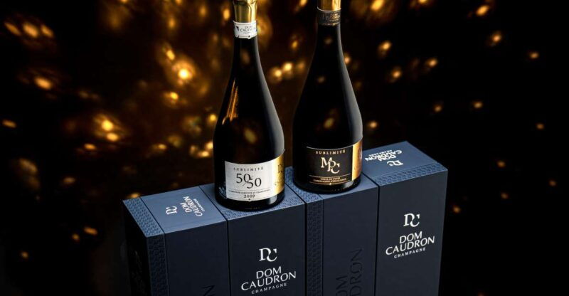 Prestige Experience - Tour in French - Champagne Passy-Grigny - Activities Included