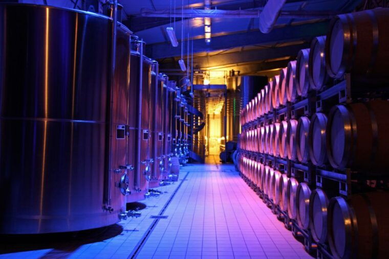 Prestige Experience - Tour in French - Champagne Passy-Grigny - Indulge in the Exceptional Champagne Tasting
