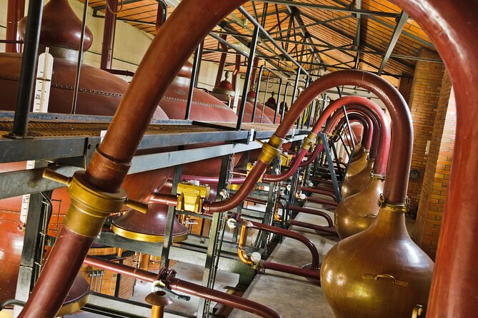 Prestige Tour and Cognac Tasting - Pricing and Booking Details