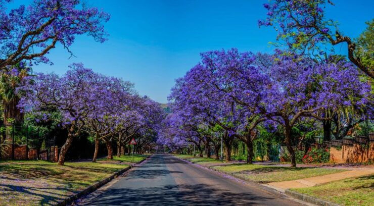 Pretoria: Half-Day City Tour - Good To Know
