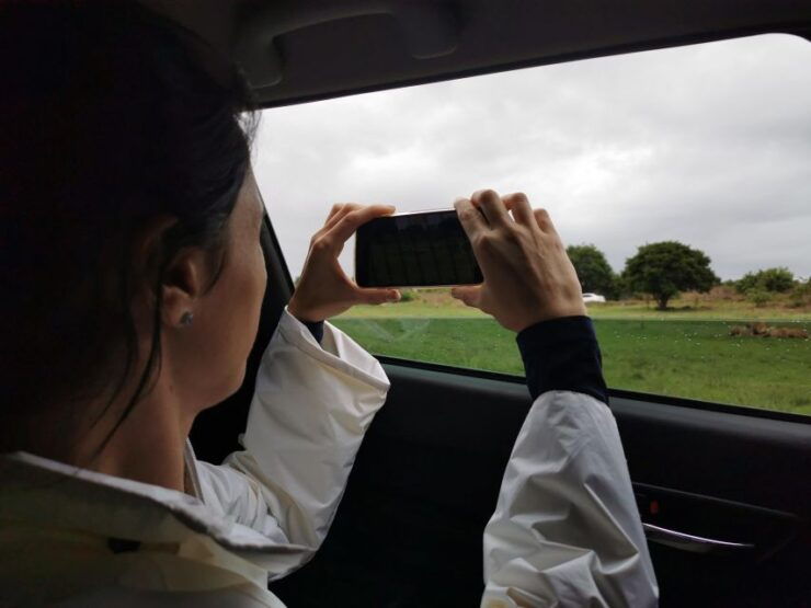 Pretoria Tour-Voortrekker Monument, Town, Union Buildings - Activity Information