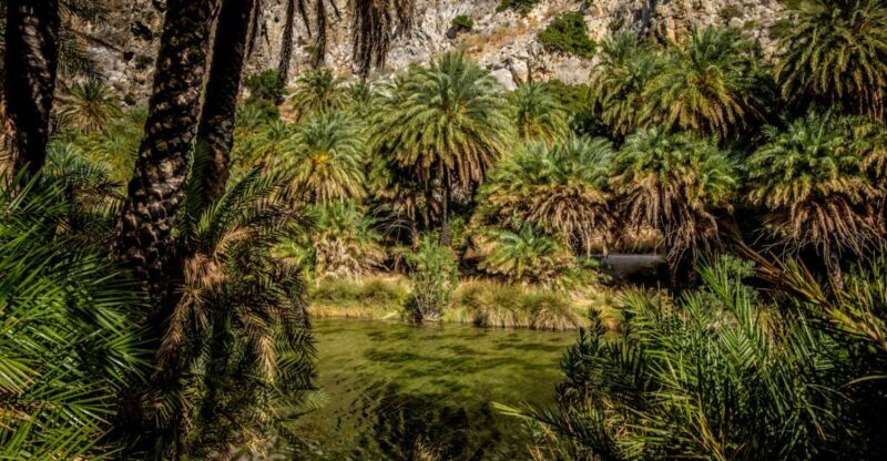 Preveli from Heraklion: Exotic Beach & Palm Forest, PickUp - Final Thoughts