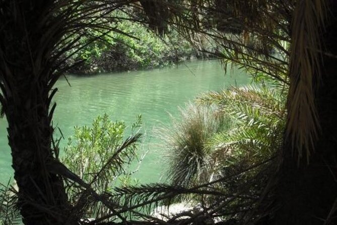 Preveli Palm Beach Tour From Rethymno - by Private Boat - Minimum Travelers Requirement