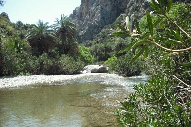 Preveli Palm Beach Tour From Rethymno - by Private Boat - Highlights of the Private Boat Tour