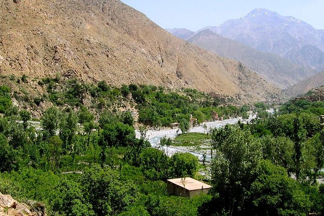 Priavte Day Trip to Lake Takerkoust,Asni and Ourika Valley From Marrakech - Customer Reviews