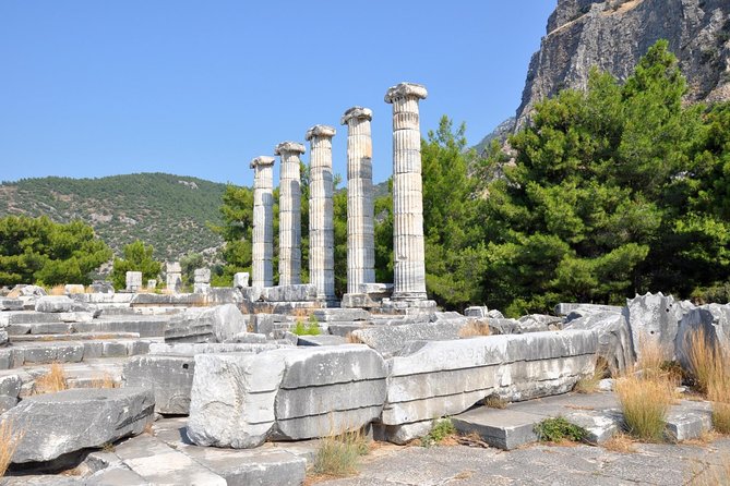 Priene Miletos Didyma (PMD) Tour From Kusadasi / Selcuk Hotels - Contact Information