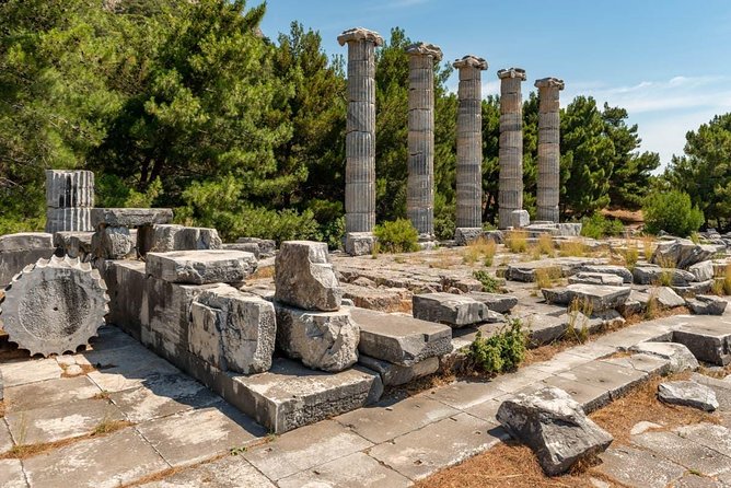 Priene Miletus Didyma Tour From Kusadasi & Selcuk Hotels - Tour Inclusions