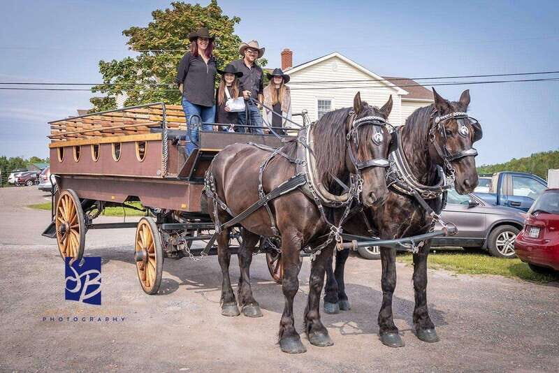 Prince Edward Island: Horse-Drawn Carriage Tour - Good To Know  
