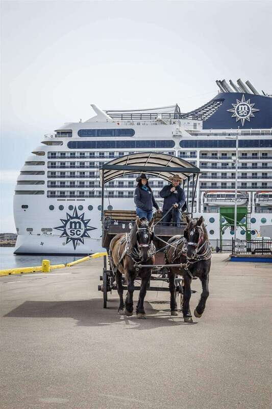 Prince Edward Island: Horse-Drawn Carriage Tour - Value and Pricing: Is It Worth It?
