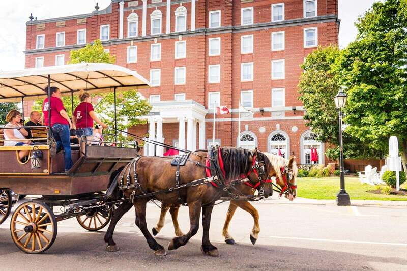 Prince Edward Island: Horse-Drawn Carriage Tour - Practical Considerations