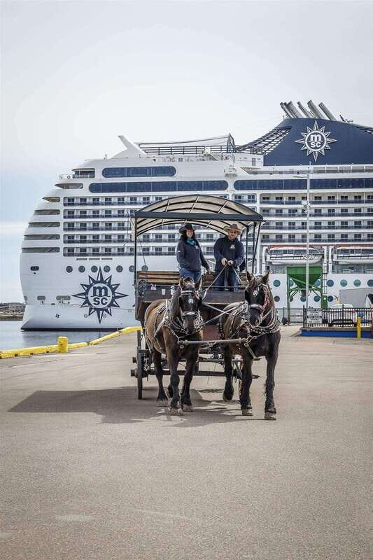 Prince Edward Island: Horse-Drawn Carriage Tour - Final Thoughts